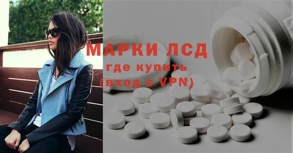 гашик Каменка