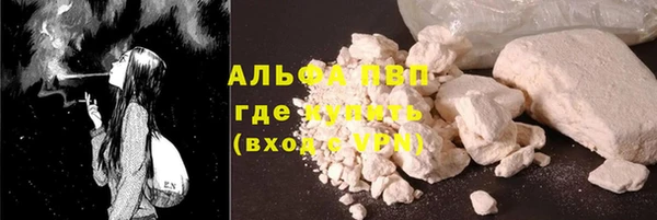 спиды Каменногорск