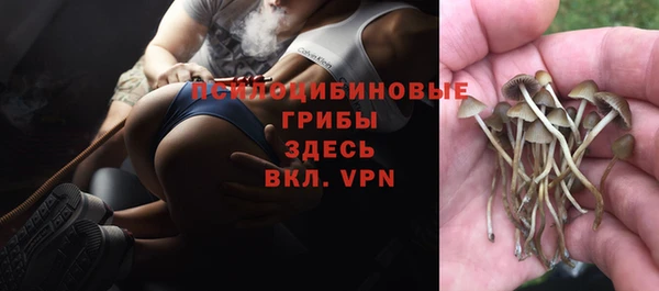 ГАЛЛЮЦИНОГЕННЫЕ ГРИБЫ Сосновоборск