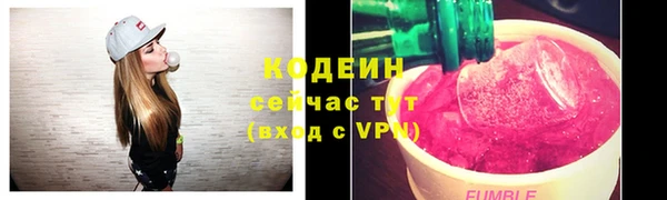 гашик Каменка