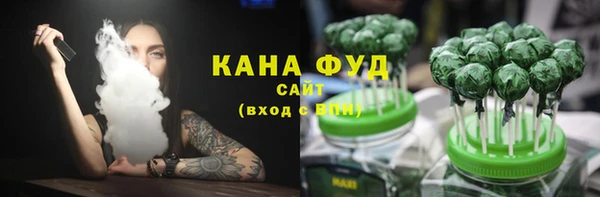 гашик Каменка