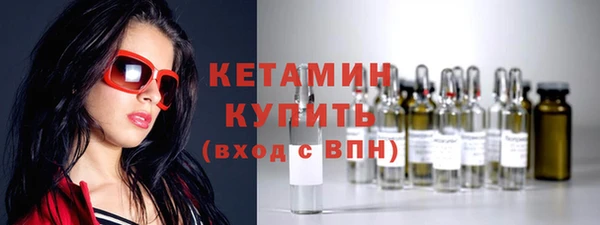 гашик Каменка
