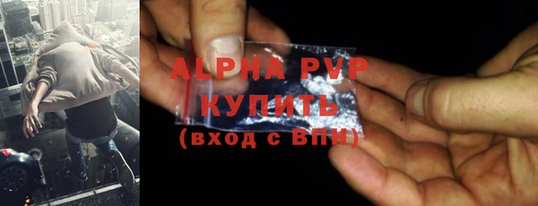 гашик Каменка