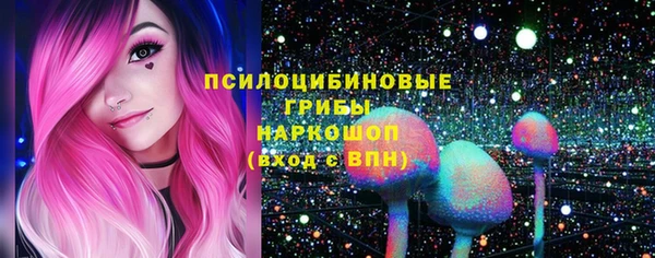 спиды Каменногорск