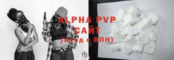 гашик Каменка