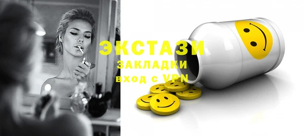 гашик Каменка