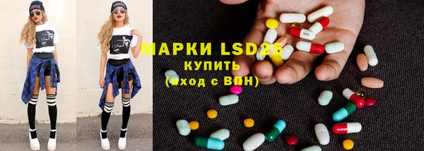 спиды Каменногорск