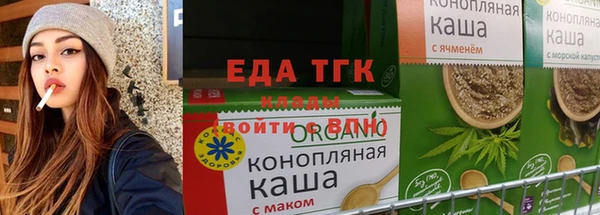 гашик Каменка