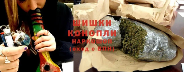 гашик Каменка