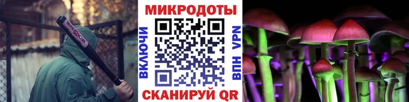 Псилоцибиновые грибы Psilocybe  Купить закладки  Гудермес 